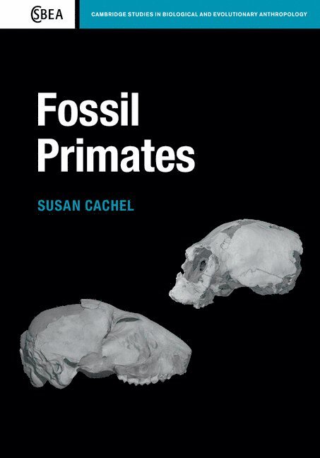 Fossil Primates 1