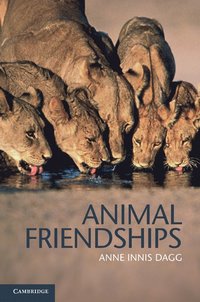 bokomslag Animal Friendships