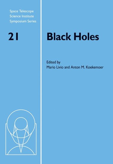 bokomslag Black Holes