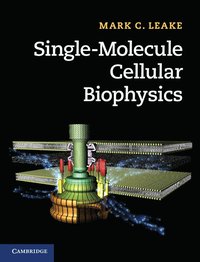 bokomslag Single-Molecule Cellular Biophysics