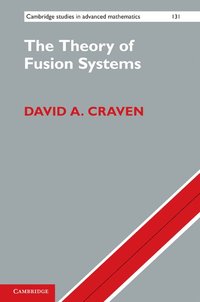 bokomslag The Theory of Fusion Systems