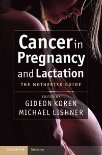 bokomslag Cancer in Pregnancy and Lactation