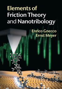 bokomslag Elements of Friction Theory and Nanotribology
