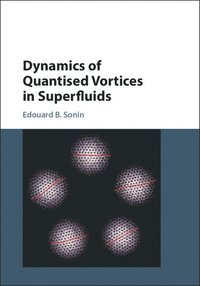 bokomslag Dynamics of Quantised Vortices in Superfluids
