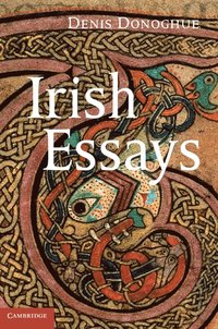 bokomslag Irish Essays