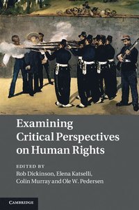 bokomslag Examining Critical Perspectives on Human Rights