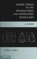 bokomslag Stone Tools in the Paleolithic and Neolithic Near East