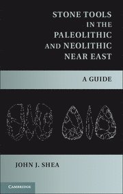 bokomslag Stone Tools in the Paleolithic and Neolithic Near East