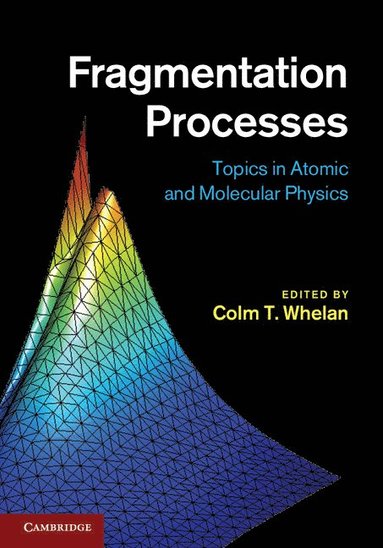 bokomslag Fragmentation Processes