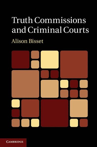 bokomslag Truth Commissions and Criminal Courts