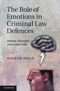 bokomslag The Role of Emotions in Criminal Law Defences