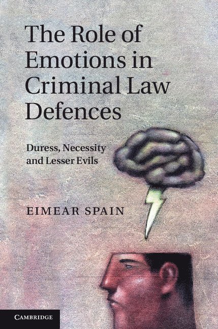 The Role of Emotions in Criminal Law Defences 1