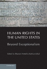 bokomslag Human Rights in the United States