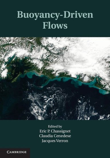 Eric P. Chassignet, Claudia Cenedese, Jacques Verron - Buoyancy-Driven Flows, Inbunden