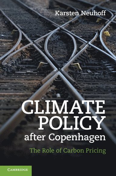 bokomslag Climate Policy after Copenhagen