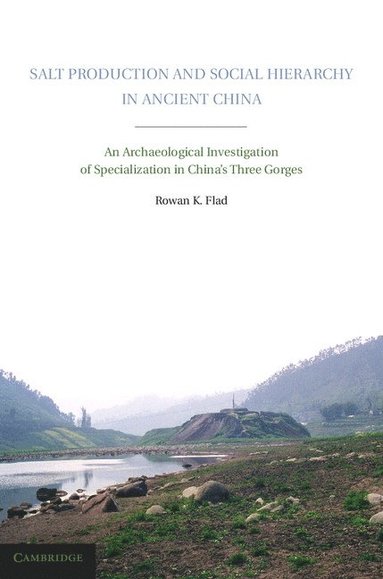 bokomslag Salt Production and Social Hierarchy in Ancient China