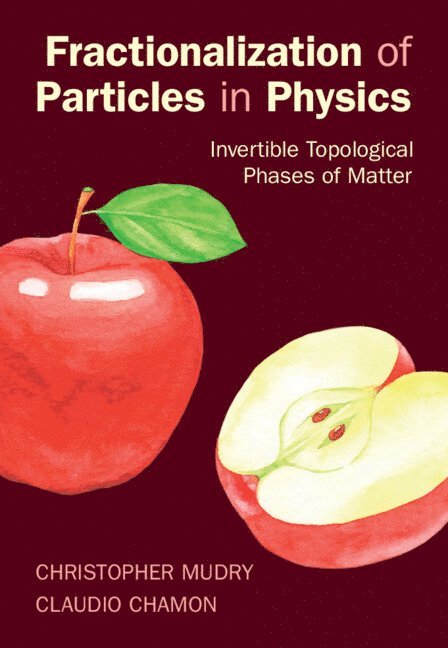 Christopher Mudry, Claudio Chamon, Switzerland) Mudry, Christopher (Professor, Paul Scherrer Institute, Villigen, Boston University) Chamon, Claudio (Dr - Fractionalization of Particles in Physics, Inbunden
