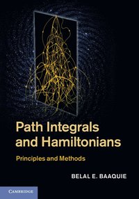 bokomslag Path Integrals and Hamiltonians