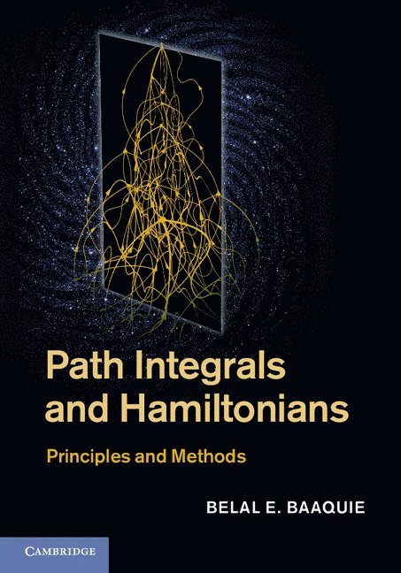 Path Integrals and Hamiltonians 1