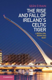 bokomslag The Rise and Fall of Ireland's Celtic Tiger
