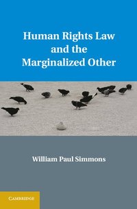 bokomslag Human Rights Law and the Marginalized Other