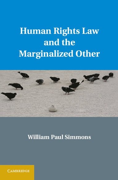 bokomslag Human Rights Law and the Marginalized Other