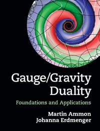 bokomslag Gauge/Gravity Duality