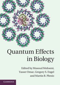 bokomslag Quantum Effects in Biology