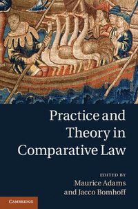 bokomslag Practice and Theory in Comparative Law