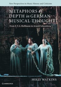 bokomslag Metaphors of Depth in German Musical Thought
