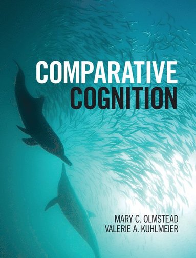 bokomslag Comparative Cognition