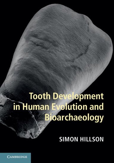 Simon Hillson - Tooth Development in Human Evolution and Bioarchaeology, Inbunden