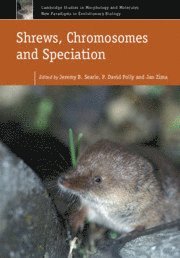 bokomslag Shrews, Chromosomes and Speciation