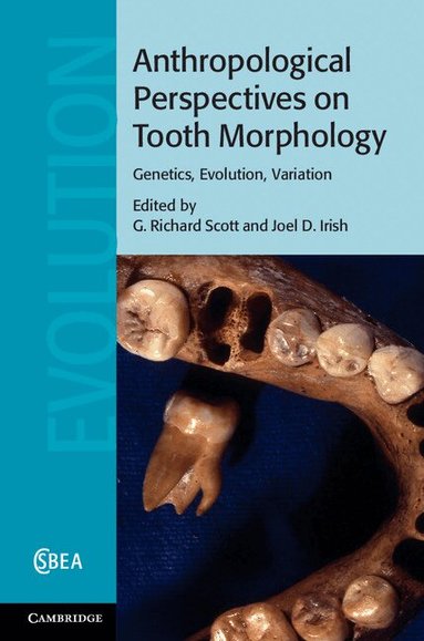G. Richard Scott, Joel D. Irish - Anthropological Perspectives on Tooth Morphology, Inbunden