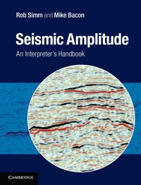 bokomslag Seismic Amplitude