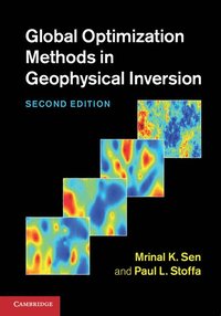 bokomslag Global Optimization Methods in Geophysical Inversion