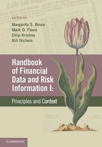 bokomslag Handbook of Financial Data and Risk Information I: Volume 1