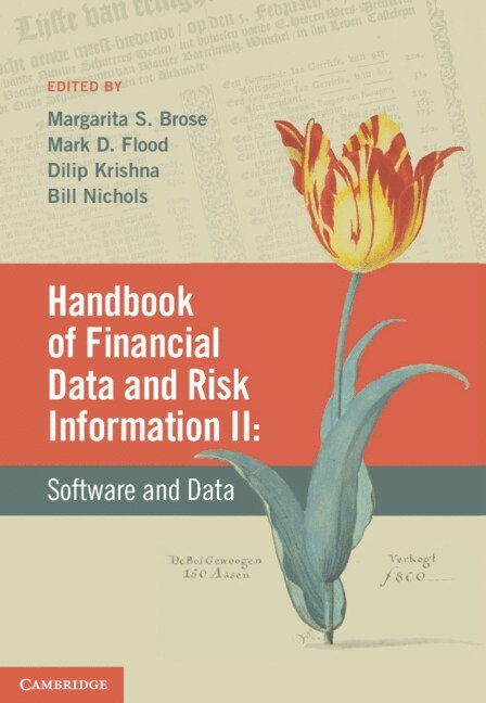 Margarita S. Brose, Mark D. Flood, Dilip Krishna, Bill Nichols, Margarita S Brose, Mark D Flood - Handbook of Financial Data and Risk Information II: Volume 2, Inbunden
