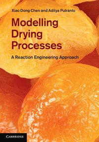bokomslag Modelling Drying Processes