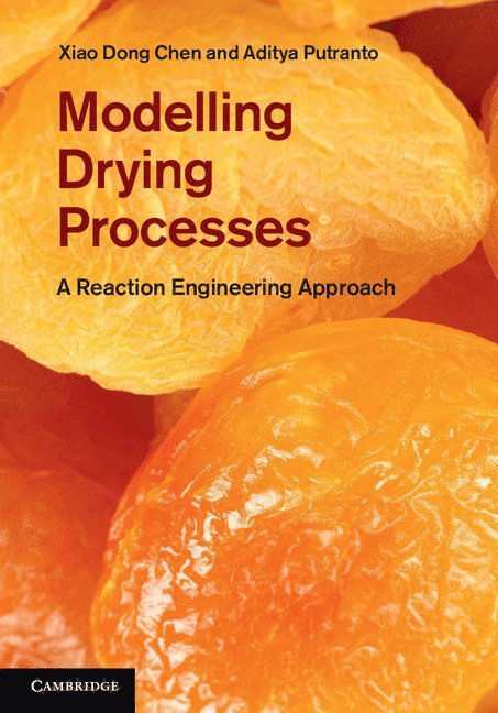 Modelling Drying Processes 1