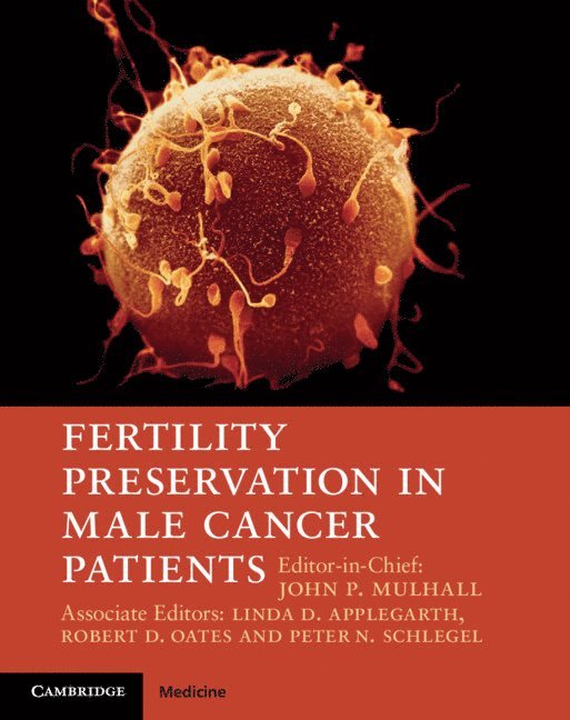 Fertility Preservation in Male Cancer Patients 1