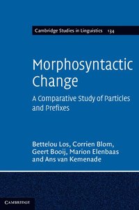 bokomslag Morphosyntactic Change