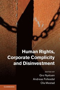 bokomslag Human Rights, Corporate Complicity and Disinvestment