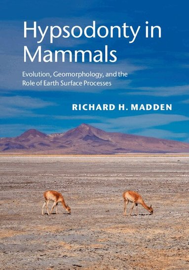 Richard H. Madden - Hypsodonty in Mammals, Inbunden