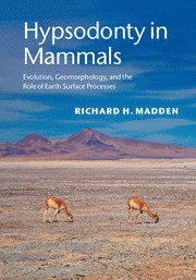 Richard H. Madden, Richard H. (University of Chicago) Madden, Richard H Madden - Hypsodonty in Mammals, Inbunden