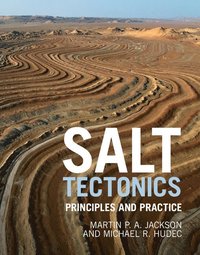 bokomslag Salt Tectonics
