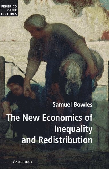 bokomslag New Economics of Inequality and Redistribution