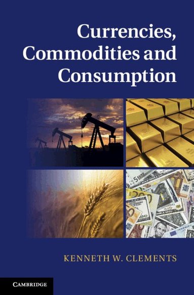 Kenneth W. Clements - Currencies, Commodities and Consumption, Inbunden