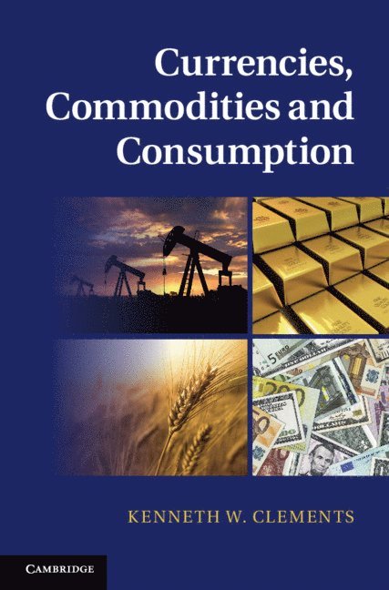 Kenneth W. Clements - Currencies, Commodities and Consumption, Inbunden