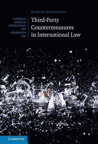 bokomslag Third-Party Countermeasures in International Law